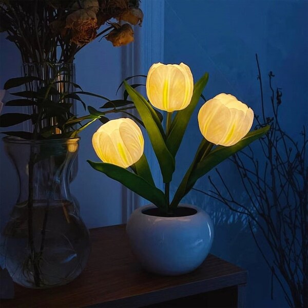 Decorative Night Lights Etsy