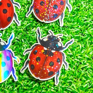 May include: Four ladybug stickers with different designs. The ladybugs are red with black spots and have black heads. The stickers are on a green grass background.
