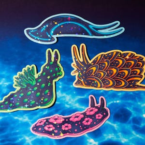 Peut inclure: Quatre autocollants holographiques représentant des limaces de mer. L'un est bleu foncé avec un contour bleu clair, un noir avec des taches vertes, un orange et noir avec un contour jaune, et un noir avec des motifs floraux roses et un contour rose.
