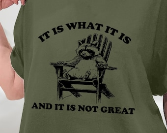 Koszulka Raccoon It Is What It Is It Not Great, Bluza Mental Health, Koszulka Trash Panda, Koszulka Raccoon Meme, Bluza, Bluza z kapturem