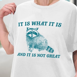 It Is What It Is And It Is Not Great Shirt, Mental Health TShirt, Raccoon Meme Shirt, Funny Trash Panda Shirt, Sweatshirt, Hoodie