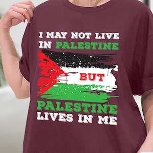 Palestine Flag Lives In Me, Free Palestine Gaza Palestinians Shirt, Save Palestine, Stand With Palestine Shirt, Free Palestine Shirt, Hoodie