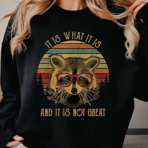 It Is What It Is And It Is Not Great Sweatshirt, Raccoon Meme Shirt, Funny Mental Health Shirt, Sarcastic Shirt, Trash Panda Shirt