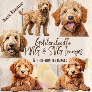 Goldendoodle PNG SVG Bundle, 17 Adorable Dog Clipart Designs for Crafts Gifts Decor, Dog Lover Clipart, Puppy Clipart for Gifts, Dog Mom art