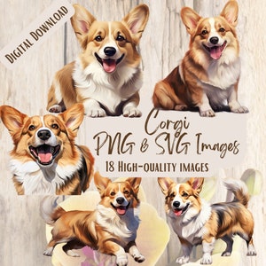 Corgis PNG SVG Bundle 18 Bilder Digital druckbare Vektor Sofort-Download Corgis Hund Grafiken Bundle Hochwertige entzückende Corgis Clipart