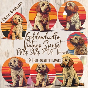 Goldendoodle Vintage Sunset Clipart, Pacchetto SVG PNG cane retrò, 19 disegni Goldendoodle per artigianato, decorazioni per inviti su magliette