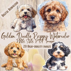 Pacchetto di immagini PNG SVG con cuccioli di Goldendoodle in acquerello, 20 adorabili disegni di clipart di cani per lavoretti, decorazioni per amanti dei cani, clipart di cuccioli per regali