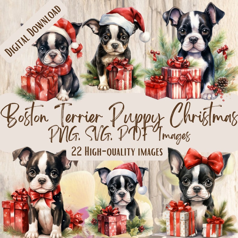 May include: A set of 22 digital images featuring Boston Terrier puppies dressed in festive Christmas attire. The puppies are wearing Santa hats, red bows, and holding Christmas presents. The images are perfect for crafting, scrapbooking, and other creative projects.