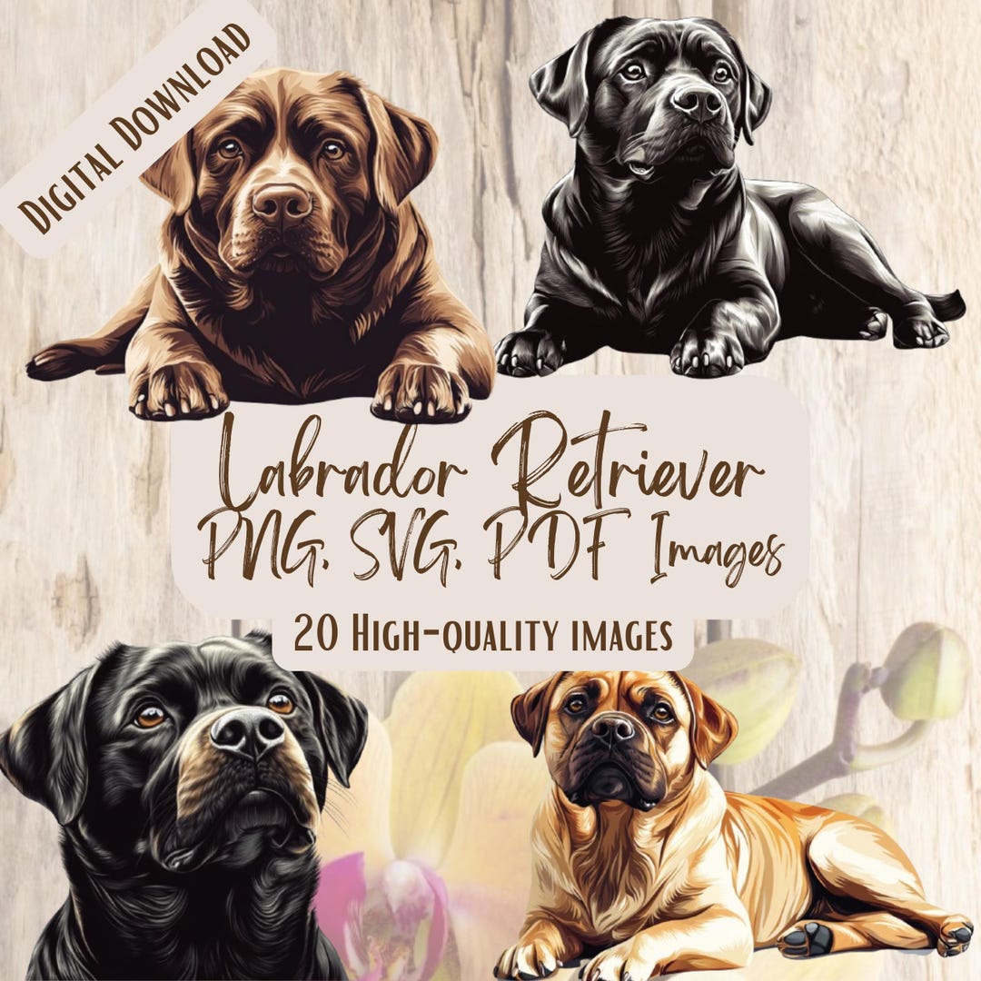 Labrador Retriever PNG SVG Bundle, 20 Cute Watercolor Dog Clipart ...