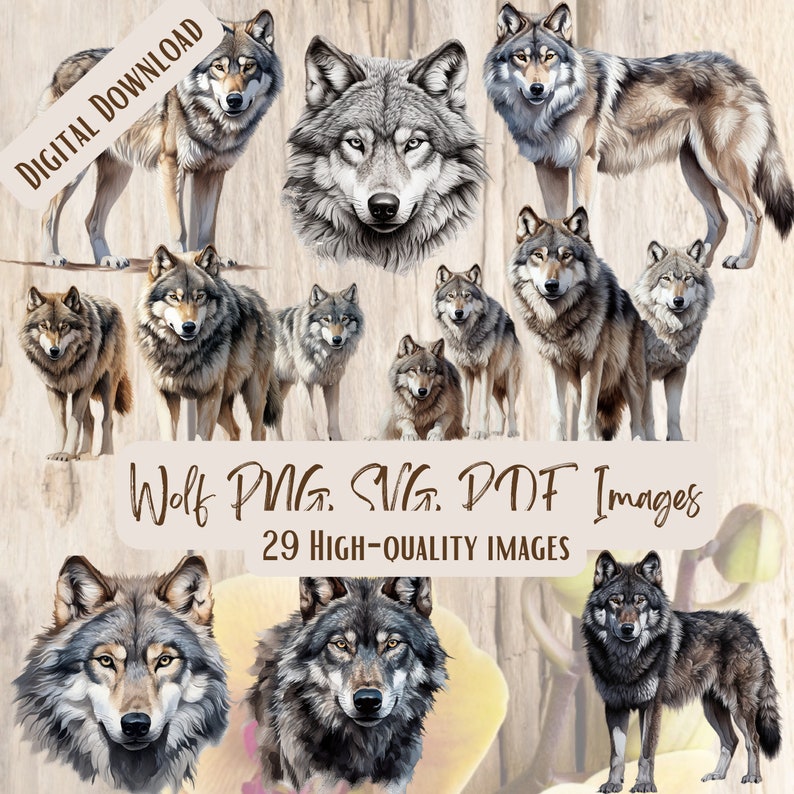 Wolf Wolves PNG SVG Bundle 29 Images Digital Printable Vector Instant ...