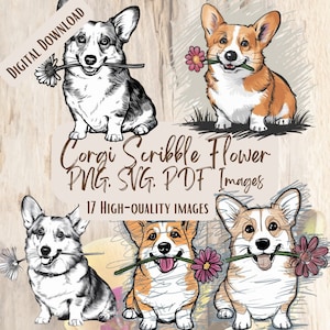 May include: Four digital illustrations of a Corgi dog holding a flower in its mouth. The Corgis are in different poses and have different colored fur. The text "Corgi Scribble Flower PNG. SVG. PDF Images 17 HIGH-QUALITY IMAGES" is at the bottom of the image.