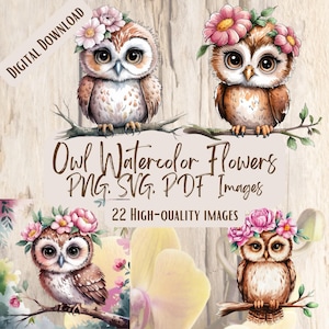 Uil aquarel bloem kroon PNG SVG-bundel, 22 schattige uil clipart ontwerpen voor ambachten & decor, kinderkameruil aquarel, bloemsierkunst uil kunst
