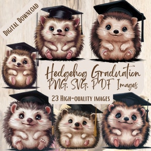 Clipart de formatura de ouriço, pacote com 23 PNG SVG, designs adoráveis de ouriço para artesanato de formatura, cartões, presentes, clipart de formatura