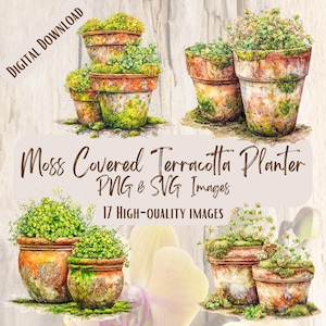 Terracotta Pots Watercolor PNG SVG Bundle, 17 Moss Covered Garden Clipart Images for Cottagecore, Greenhouse & Sublimation