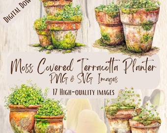 May include: Digital download of moss-covered terracotta planters. The image features several planters of various sizes, filled with green plants. The planters have a weathered, mossy appearance. Text on the image reads "Moss Covered Terracotta Planter PNG & SVG Images".