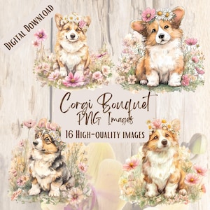 May include: Digital download featuring four watercolor illustrations of corgi dogs surrounded by flowers. The corgis wear flower crowns and are set against a light wood background. Text reads "Corgi Bouquet PNG Images" and "16 High-Quality Images."