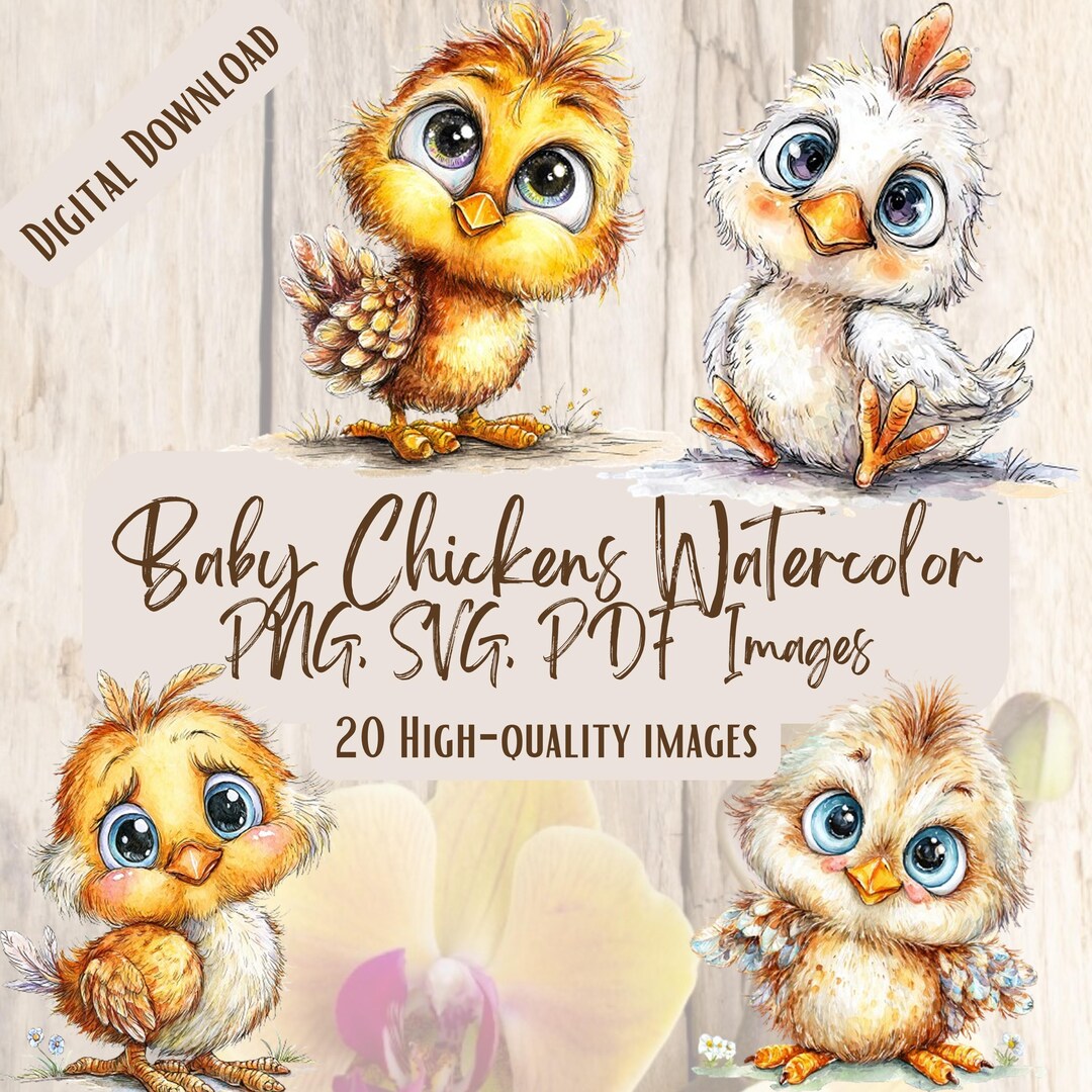 Baby Chickens Watercolor Clipart Bundle – 20 Cute Yellow Chick PNG ...