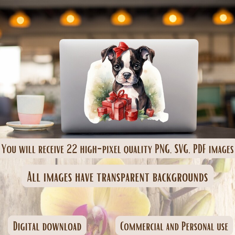 May include: A watercolor illustration of a black and white Boston Terrier puppy wearing a red bow. The puppy is holding a red gift box with a white bow. The background is a watercolor wash of green and white.