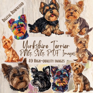 Pacchetto PNG SVG di Yorkshire Terrier: 49 graziosi disegni clipart di Yorkshire Terrier per lavoretti, regali, progetti fai da te, arte per amanti dei cani, mamma di Yorkshire Terrier.