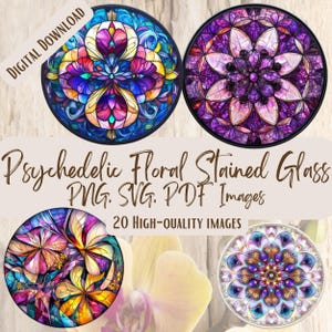 Lot de 20 vitraux floraux psychédéliques PNG SVG, 20 dessins de clipart colorés audacieux pour une décoration artisanale, art floral vibrant, graphique kaléidoscope