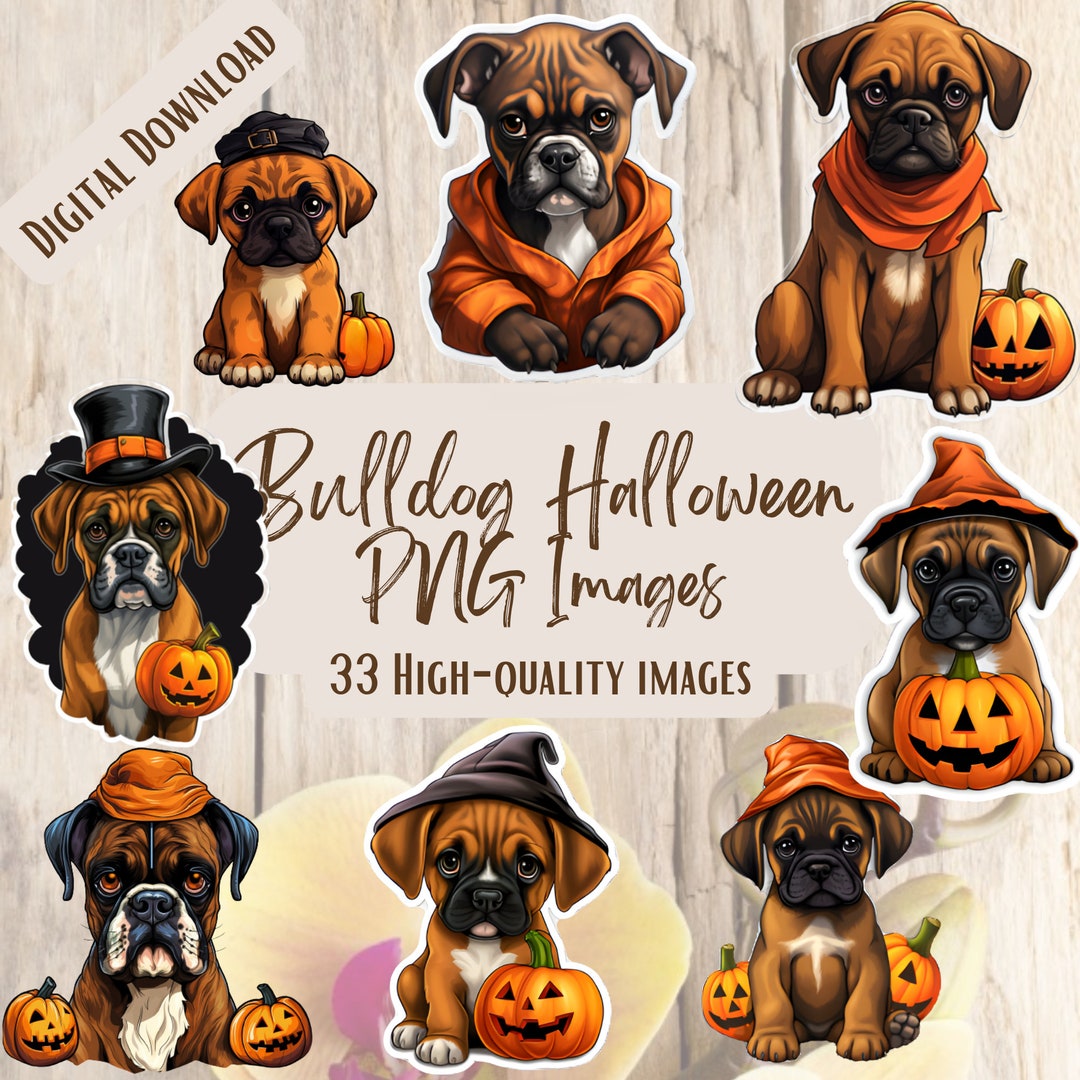 Boxer Dog Puppy Halloween 33 PNG Bundle Cute Boxer Dog Halloween Party