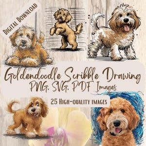 Goldendoodle Scribble Drawing PNG SVG Bundle, 25 disegni di clipart di cani in stile schizzo per regali artigianali e decorazioni, arte di cani disegnata a mano, amante degli animali