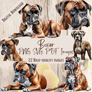 Boxer PNG SVG Bundle 22 Images Digital Printable Vector Instant Download Boxer Dog Graphics Bundle High Quality Adorable Boxer Graphics