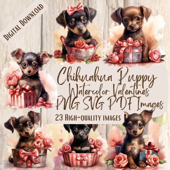 Chihuahua Puppy Valentines PNG SVG Bundle 23 Images Digital