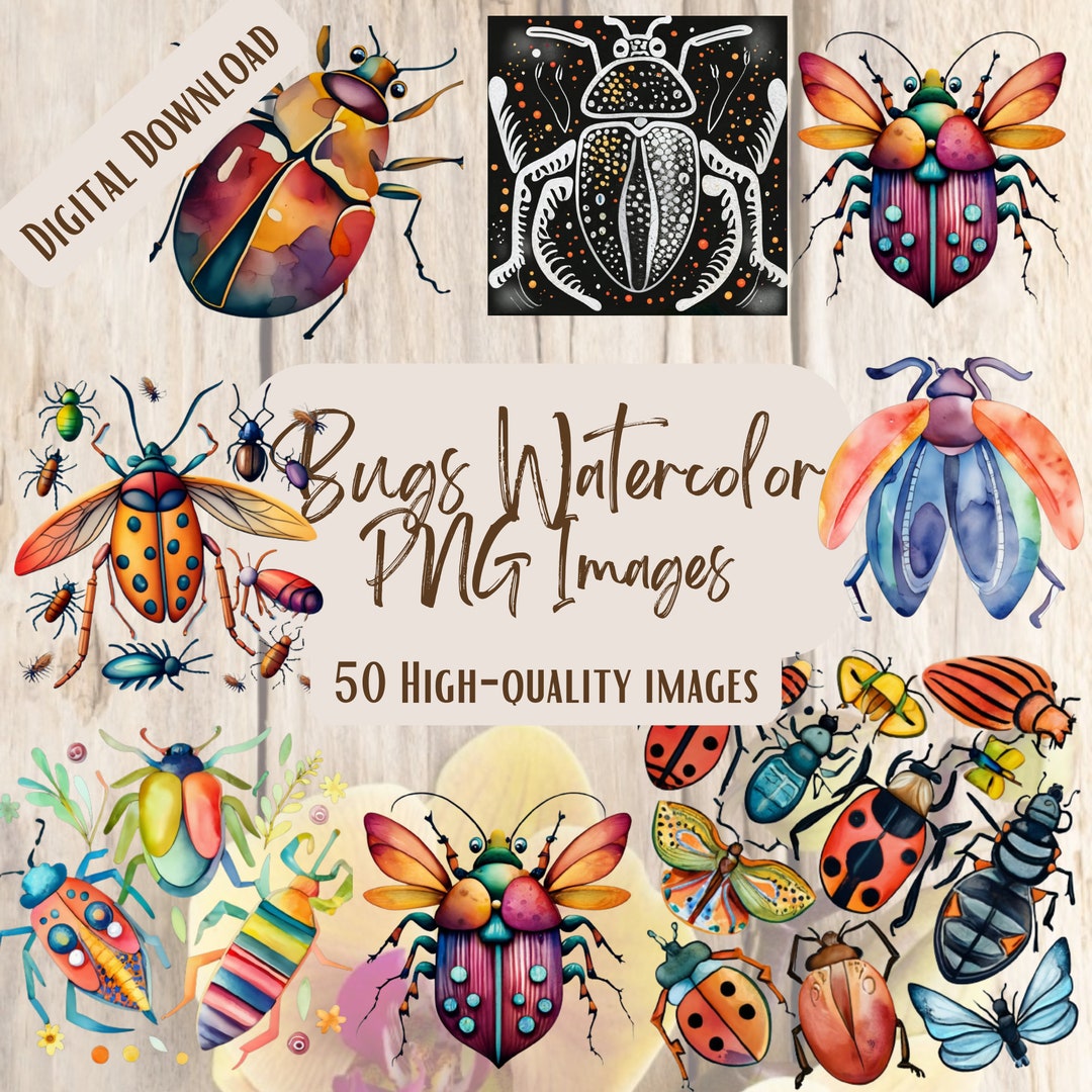 Bugs PNG Bundle 50 Images Digital Printable Vector Instant - Etsy