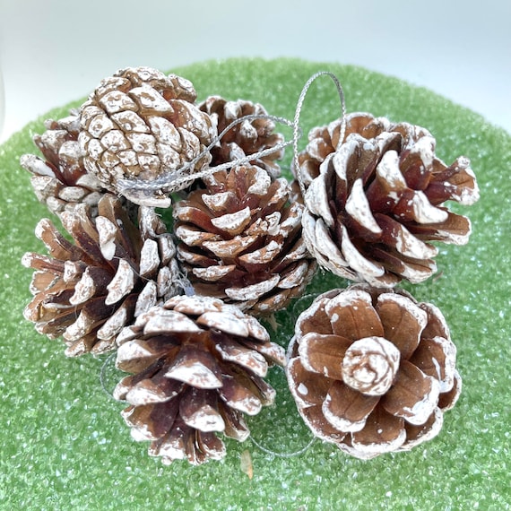 Frosted Pine Cones Decorations Painted Pinecones Crafts Christmas  Decorations Natural Pine Cone Custom Ornaments Hand Painted Dipped 