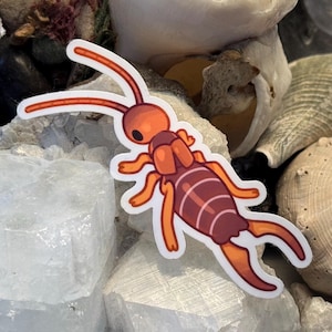 May include: A die-cut sticker featuring a stylised illustration of an earwig with a rounded orange head, long orange antennae, and a segmented reddish-brown body. The insect has six orange legs and prominent pincers at the rear of its abdomen.