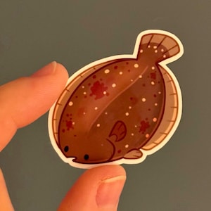 May include: A brown and white sticker of a cartoon flounder fish. The fish has a rounded body with dark brown spots and a white outline. The sticker is held between two fingers.