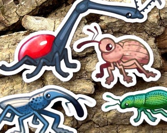 NEW weevil stickers! acorn weevil, giraffe weevil + more
