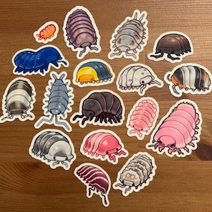 Puede incluir: Una colección de pegatinas troqueladas con diversas ilustraciones de cochinillas en colores variados, incluyendo rosa, azul, amarillo, negro, blanco y gris. Las pegatinas muestran diferentes patrones y formas corporales segmentadas.