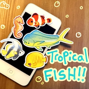 tropical fish stickers!! angelfish, seahorse, mahi mahi, butterflyfish (frutiger aero?)