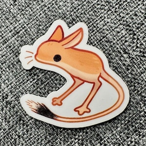 May include: A white sticker featuring a cartoon illustration of a jerboa, a small desert rodent with long hind legs and a long tail. The jerboa is orange with black eyes and a black tail.