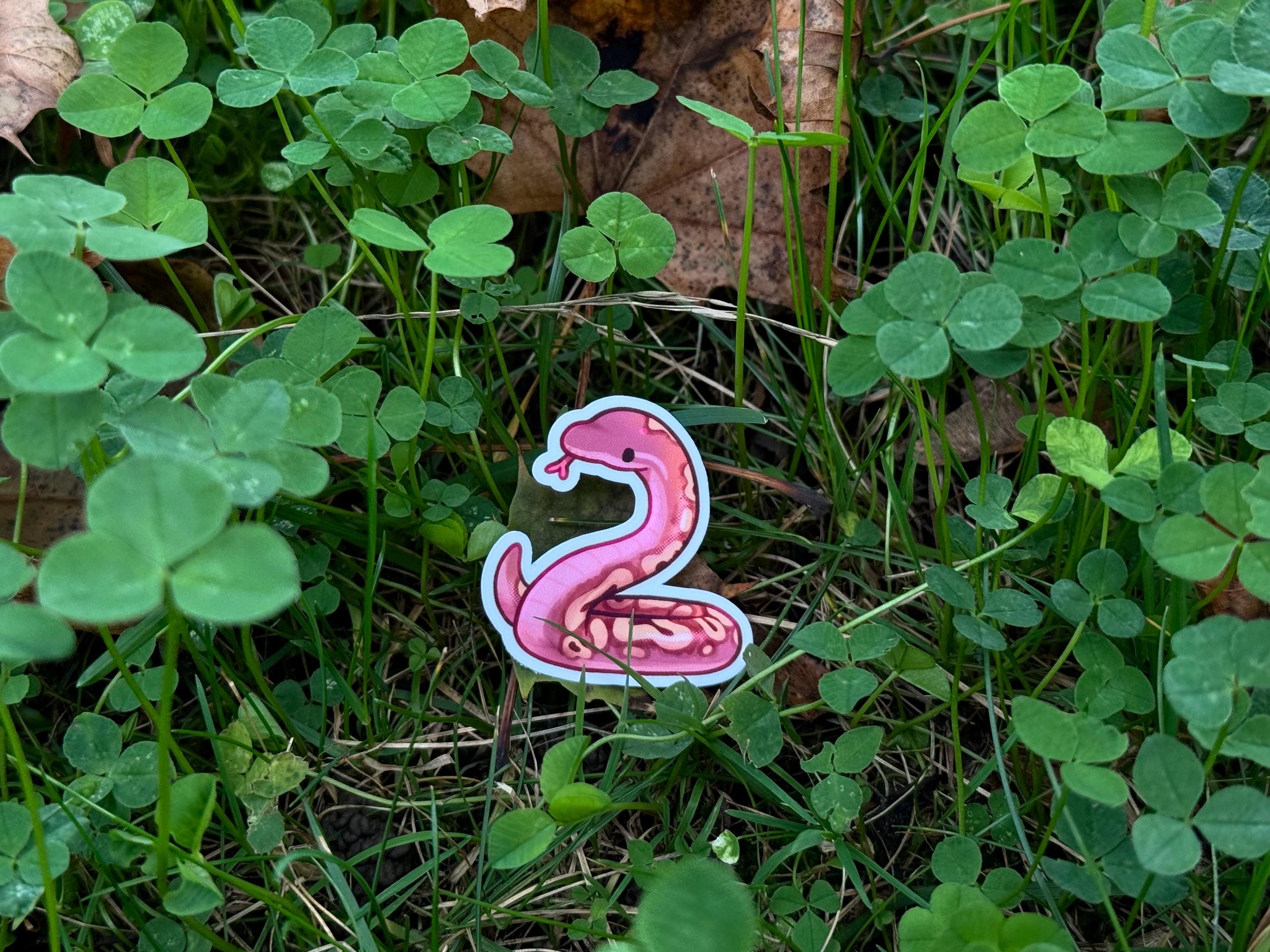 Ball Python Stickers!! Little Snake Sticker - Etsy