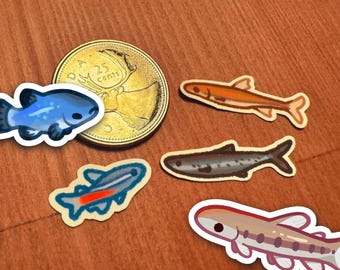 malutkie naklejki z rybkami!!