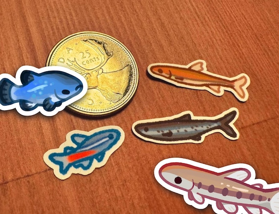 tiny fish stickers!!