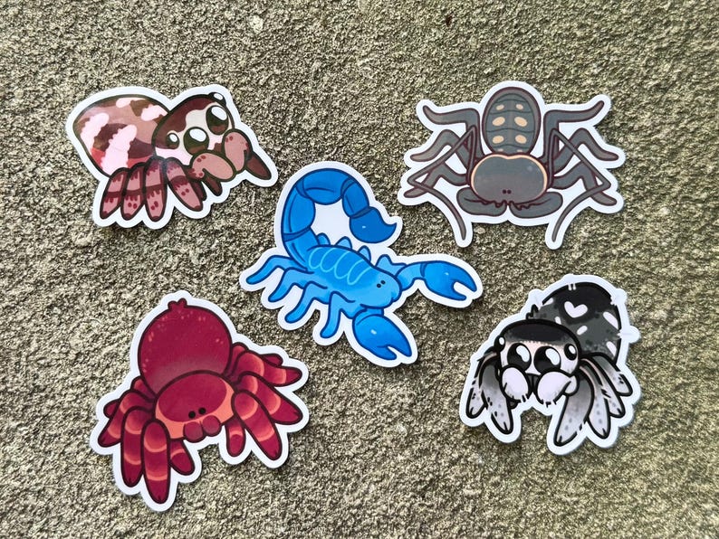 jumping spider stickers!! water resistant regal + zebra jumpers image 8