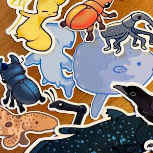 May include: A collection of colourful stickers featuring various animals, including a yellow cartoon character, a red and orange beetle, a blue and black beetle, a grey and white hammerhead shark, a blue ocean sunfish, a black and white spotted fish, a brown and orange starfish, a black bird, and a grey and white weevil.