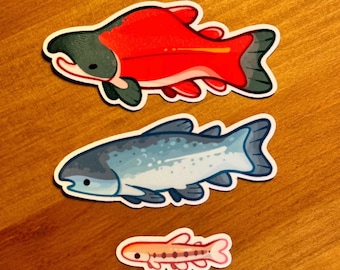 salmon stickers! sockeye fishy + more