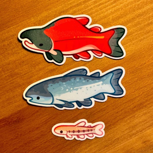 salmon stickers! sockeye fishy + more