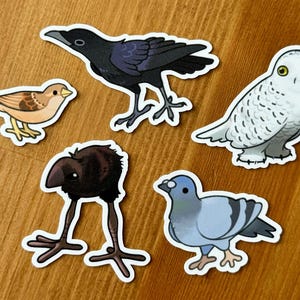 Pu&ograve; includere: Cinque adesivi di uccelli diversi, ognuno con un design unico. Gli adesivi raffigurano un corvo nero, un passero marrone, un gufo delle nevi bianco, un uccello marrone con le gambe lunghe e una colomba blu.