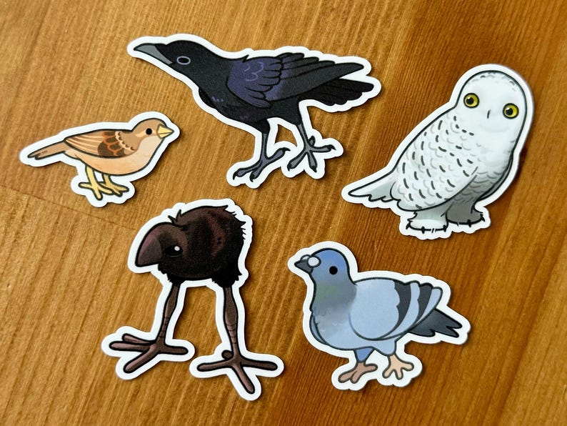 Pu&ograve; includere: Cinque adesivi di uccelli diversi, ognuno con un design unico. Gli adesivi raffigurano un corvo nero, un passero marrone, un gufo delle nevi bianco, un uccello marrone con le gambe lunghe e una colomba blu.