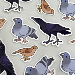 city bird stickers!! PIGEON+CROW+SPARROW