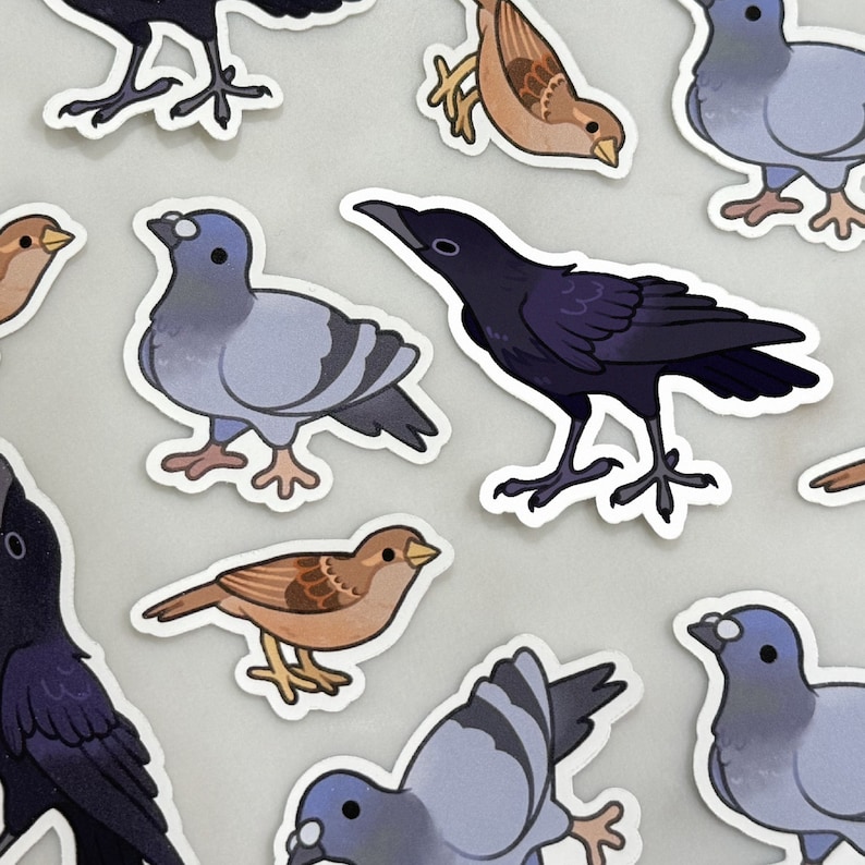 May include: A collection of colorful bird illustrations, including a blue jay, a crow, a sparrow, and a finch. The birds are depicted in a variety of poses, some perched on branches, others in flight.