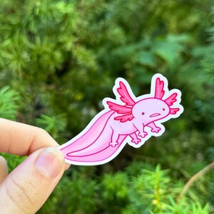 K&ouml;nnte beinhalten: Ein rosa Axolotl-Aufkleber mit wei&szlig;em Rand. Der Cartoon-Axolotl hat rosa Kiemen, einen langen Schwanz und kleine Beine. Der Aufkleber wird vor einem Hintergrund aus gr&uuml;nem Laub gehalten.