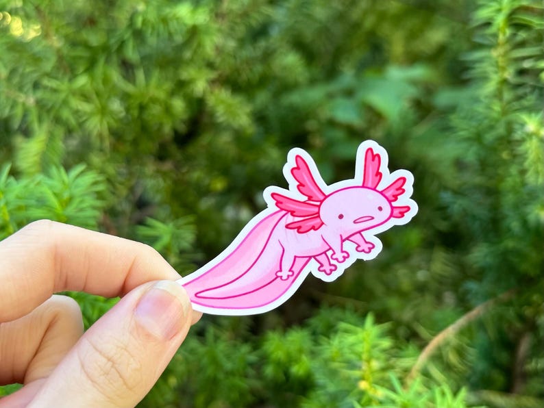 K&ouml;nnte beinhalten: Ein rosa Axolotl-Aufkleber mit wei&szlig;em Rand. Der Cartoon-Axolotl hat rosa Kiemen, einen langen Schwanz und kleine Beine. Der Aufkleber wird vor einem Hintergrund aus gr&uuml;nem Laub gehalten.