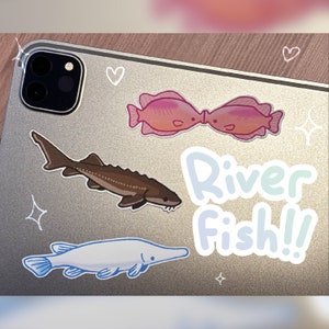 freshwater fish stickers! sturgeon, gar + more